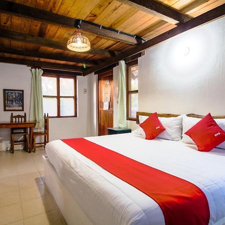 Villas Palmira - Beach Front Heroica Alvarado Екстериор снимка
