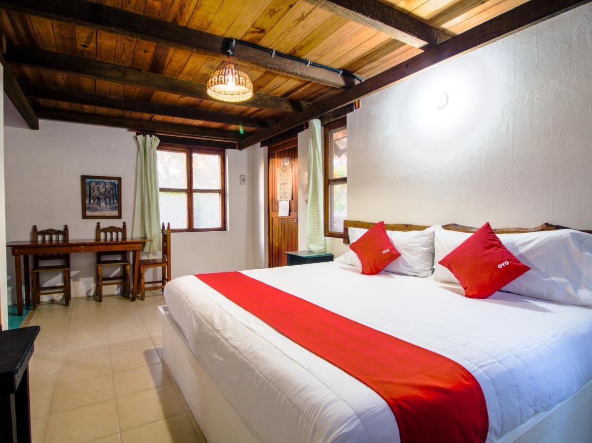 Villas Palmira - Beach Front Heroica Alvarado Екстериор снимка